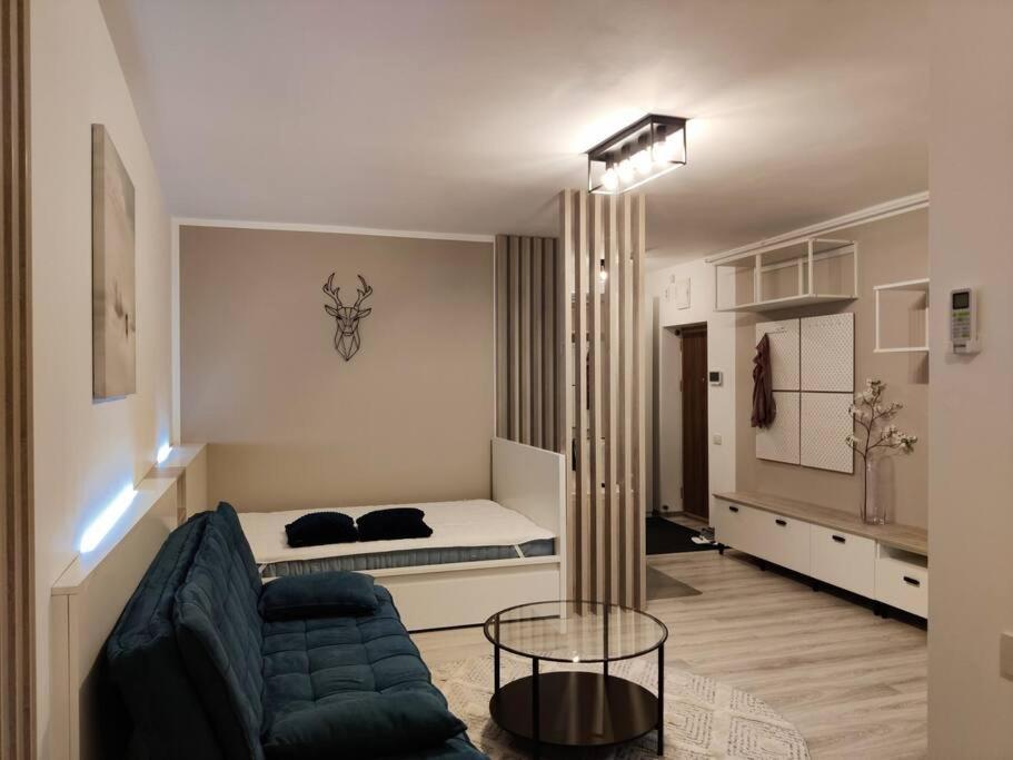 טימישוארה Joy City Stay Vivalia V6A-41 מראה חיצוני תמונה