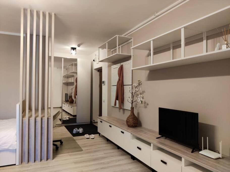 טימישוארה Joy City Stay Vivalia V6A-41 מראה חיצוני תמונה