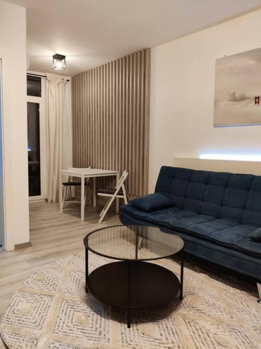 טימישוארה Joy City Stay Vivalia V6A-41 מראה חיצוני תמונה