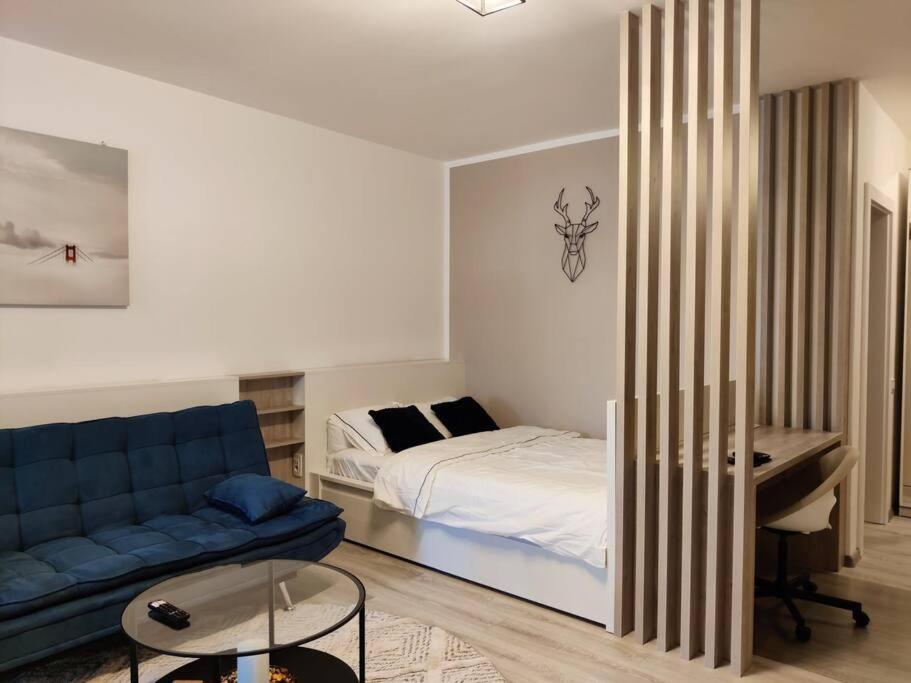 טימישוארה Joy City Stay Vivalia V6A-41 מראה חיצוני תמונה